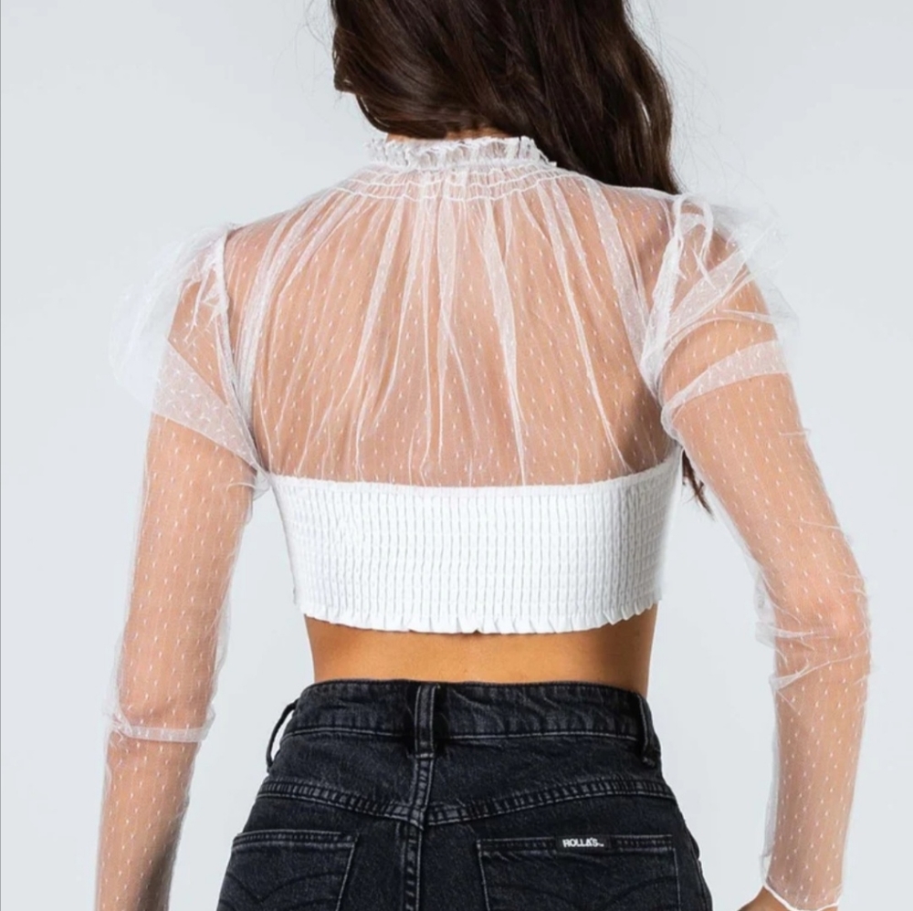 Sheer Crop Top - Picture 4 of 7